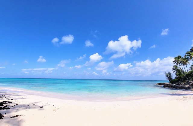 Conch'd Out Beach Cottage: Semi-private beach. Ocean views. Adults only.