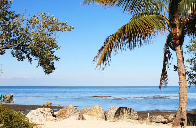 Conch Key Fishing Lodge and Marina
