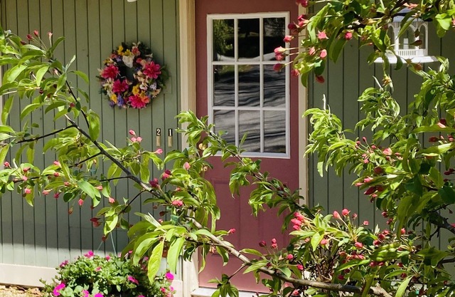 Convenient, clean and cozy 3 bedroom, 2 bath overlooking idyllic lake whittemore