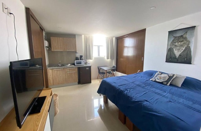 cool & comfy suite with GYM. Polanco