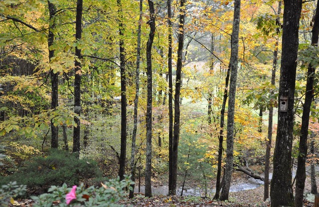 Coosa Home
