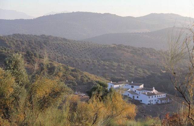 Cortijo c&c - luxurious privacy.