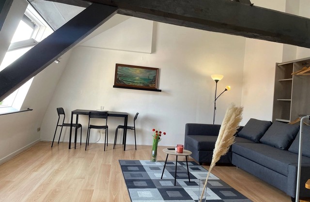 Cosy apartment at the foot of the metro and downtown
