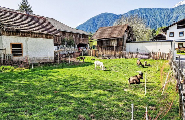 Cosy apartment for 4 people with WIFI, TV and patio