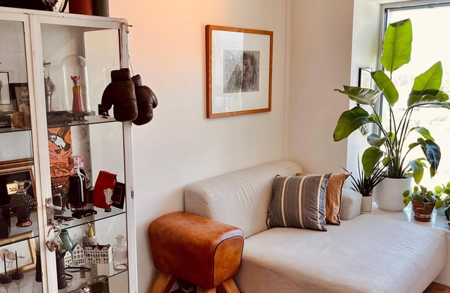 Cosy apartment well situated and connected to city