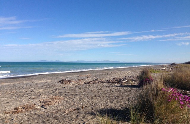 Cosy country cottage at Leithfield Beach, child friendly