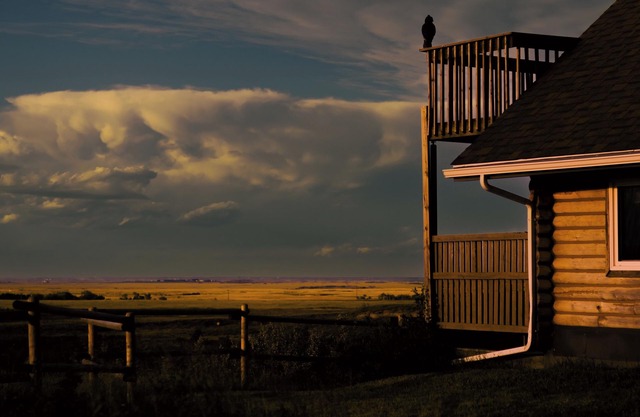 COTC: Log Cabin Glamping