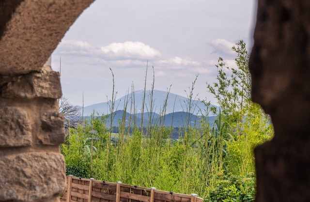 Cottage in the vineyard with view of Mont Ventoux