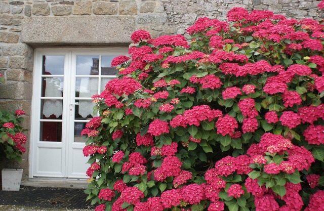 Cottage Kerruer