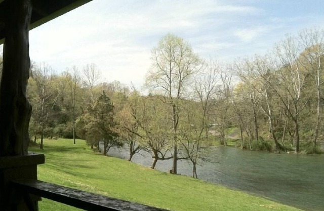 Cottage on the South Holston River-900 Ft of Private River Frontage
