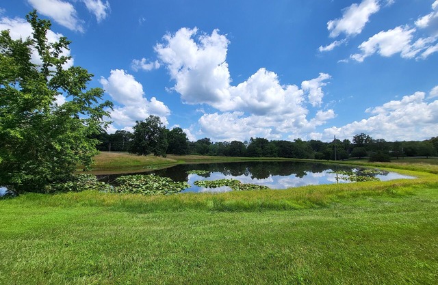 Countryside 3-Bedroom Home with Pond near I57/R148 & Lake of Egypt