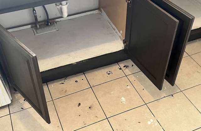 Cozy 1-bedroom apartment in awesome Tampa with WiFi, AC