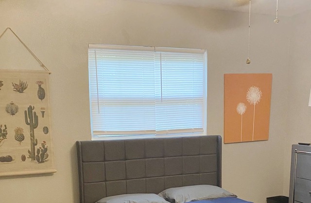 Cozy 1BR Apt w/ projector & popcorn maker