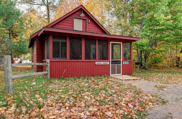 Cozy 4 person, Wisconsin Northwoods Cabin w/access to 2 lakes! Pet Friendly!