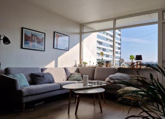 Cozy apartment close to Copenhagen