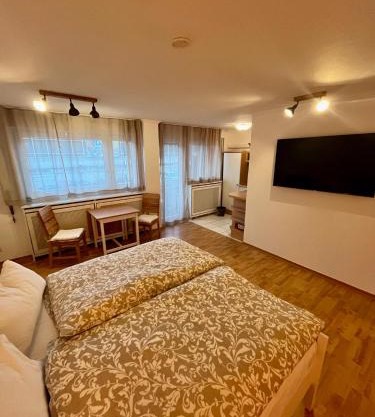cozy apartment free parking AC