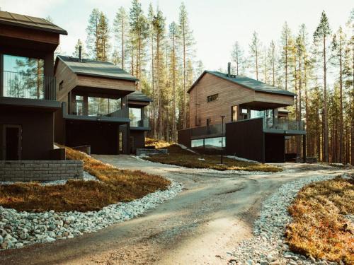 Cozy apartment in Levi