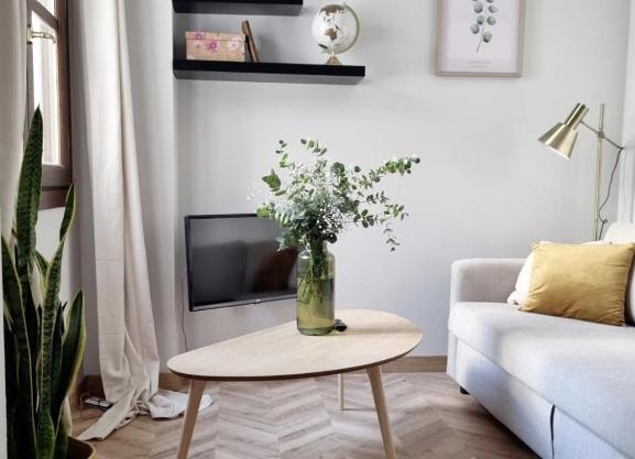Cozy apartment in the city center