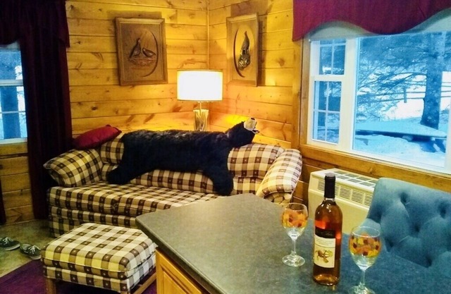 Cozy Beautiful Cottage on Maple Lake!