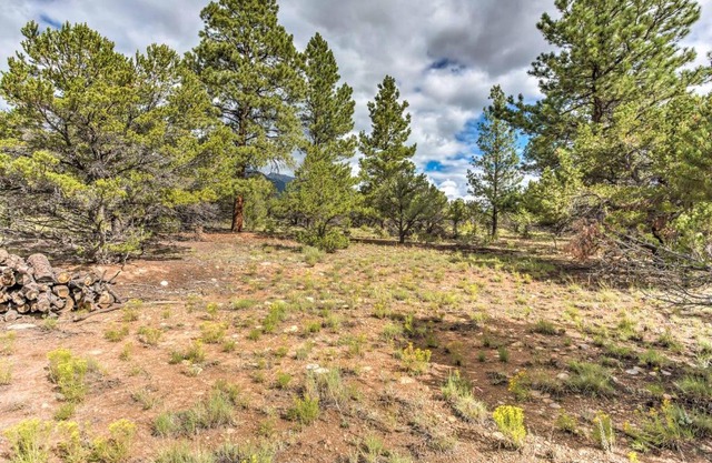 Cozy Buena Vista Apartment Less Than 4 Mi to Main Street!