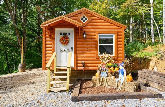 Cozy Cabin in Cosby, TN 1 King Bed/2 Queen Bunk Beds