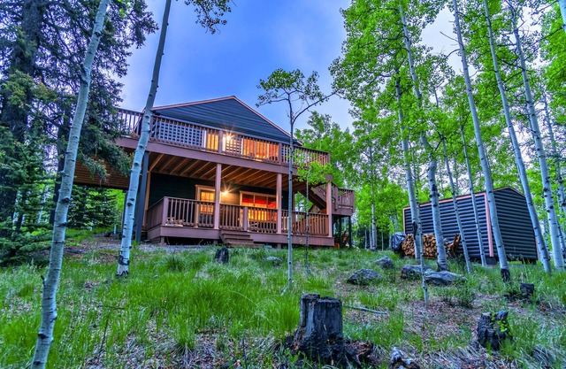 Cozy cabin in grove of aspen trees; incredible patio; hiking and fishing nearby!