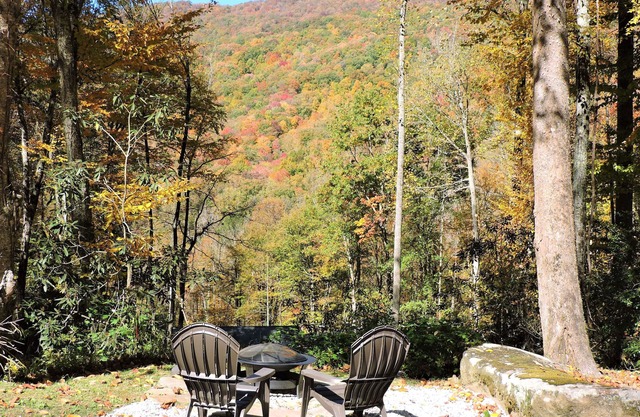 Cozy cabin w/babbling creek, mountain view & fast Wi-fi