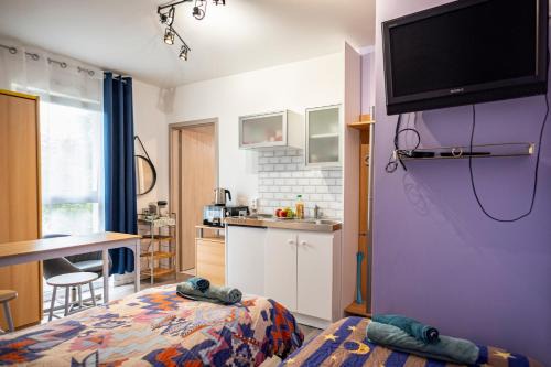 Cozy compact studio France