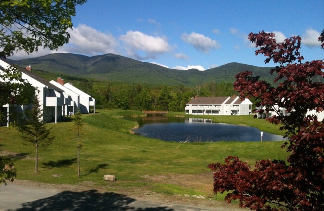Cozy Condo in Snowbrook Village With Pool and Free WiFi