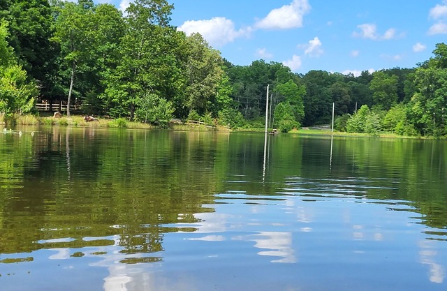 Cozy cottage @ private lake. Able to accommodate 3 travelers for summer season