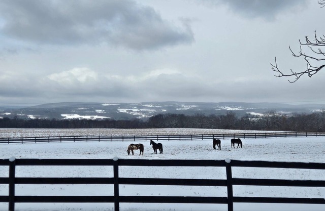Cozy Country Cabin near Canandaigua-Hot Tub-Scenic Views-Wine Trail Convenience
