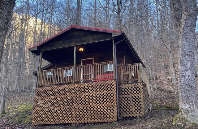 Cozy & efficient cabin w/river access. Pet Friendly!