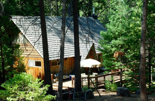 Cozy Family Cabin —! Lake access Borders national forest. Hiker's retreat!