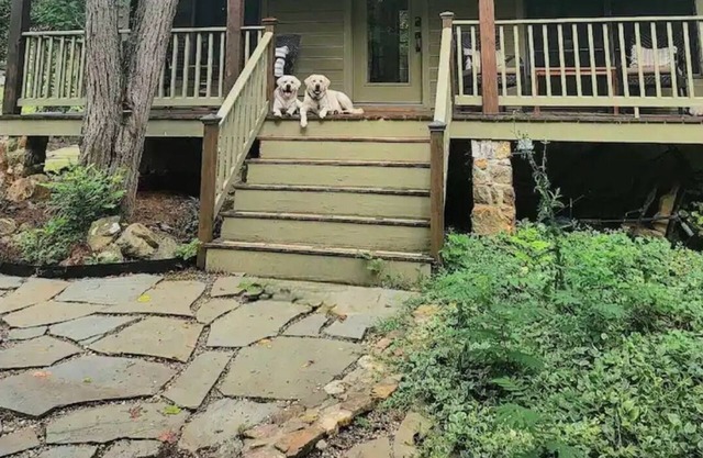 Cozy Farm Cottage on secluded 14 acre farm on the outskirts of Leesburg