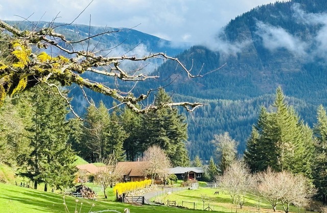 Cozy Farmstead with River Views on 80 acres