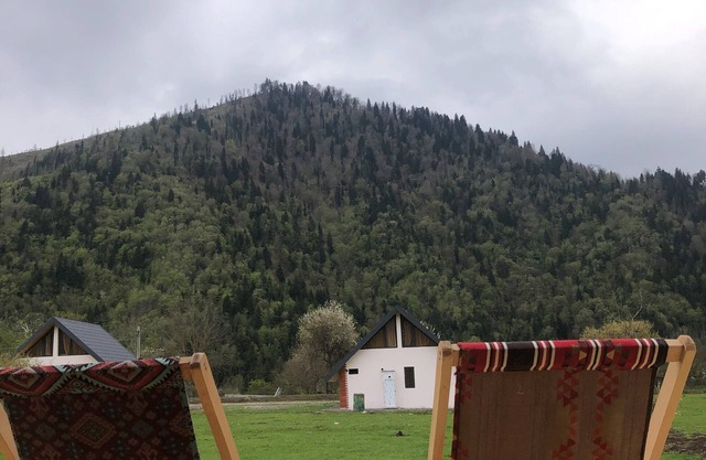 Cozy Hills in Borjomi
