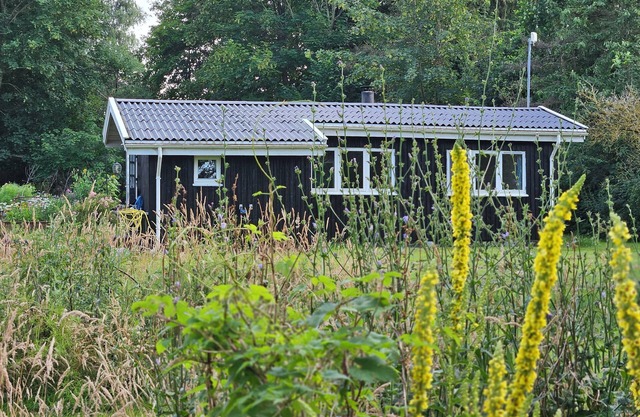 Cozy holiday home in a rural setting near Copenhagen