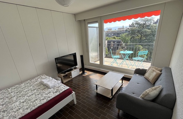 Cozy last floor apartment in Champel