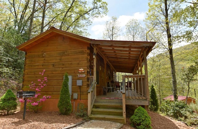 Cozy Log Cabin w/Fire Pit, Mountain Views & Biltmore Pass — 20 Min to Asheville