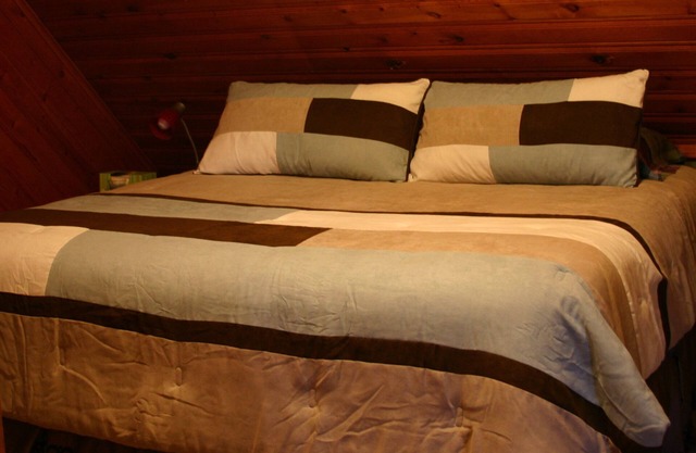 Cozy Log Home Close to Denali National Park, Activities, Services & Restaurants
