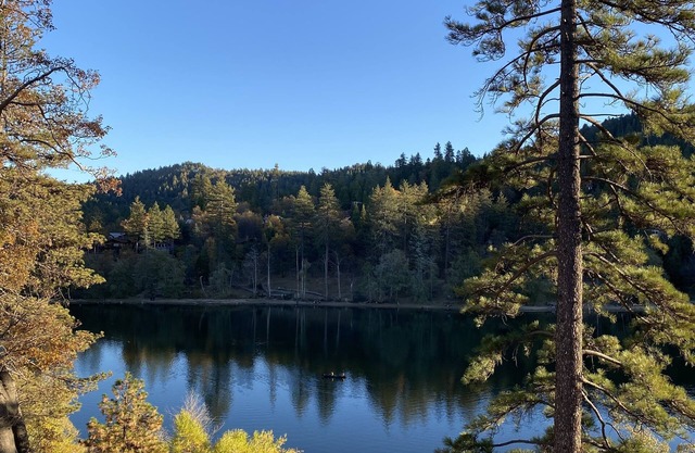 Cozy Mountain Cabin Escape, 7 min to Lake Gregory