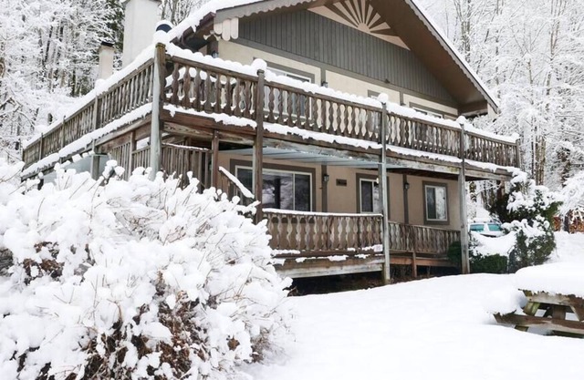 Cozy Mountain Chalet at forestHaus