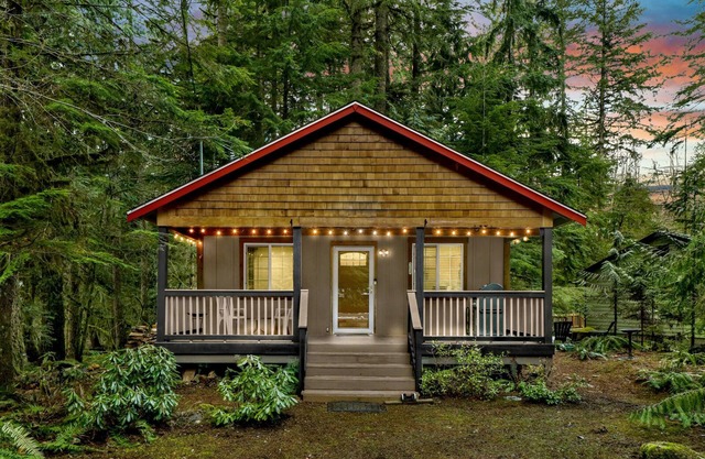 Cozy Mt. Baker Cabin Wi-Fi + Pets OK