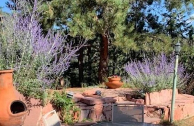 Cozy Mtn Cottage - Minutes from Pikes Peak Highway