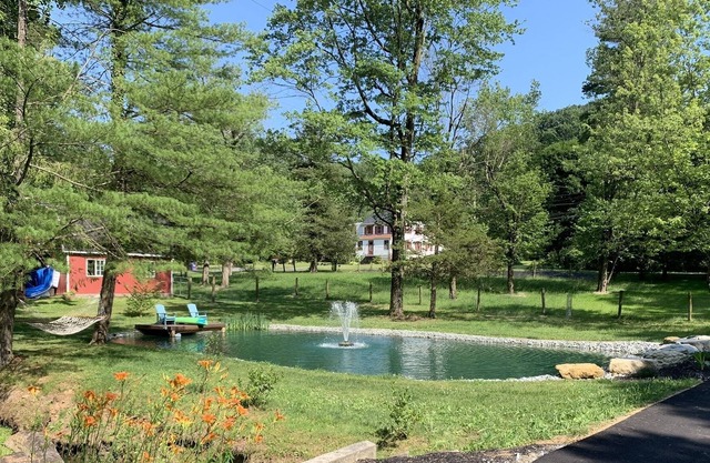 Cozy pond paradise
