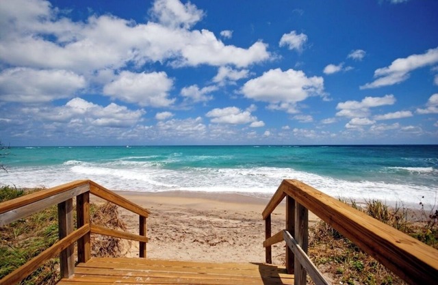 Cozy, private apartment. Walk to the beach.