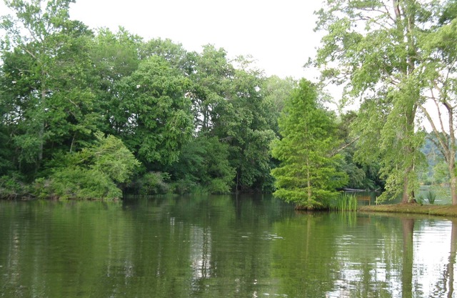 Cozy River Front House - Private Dock And Boat Ramp