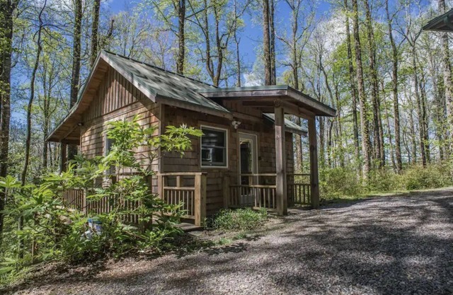 Cozy Romantic, Pet Friendly, Craftsmen Cabin In The Woods, DISCOUNTED RATES