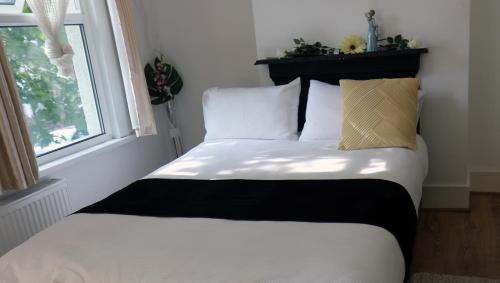 cozy rooms or entire apartment in london, fast links to central
