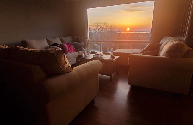 Cozy Sunset Cottage Overlooking Rice Lake